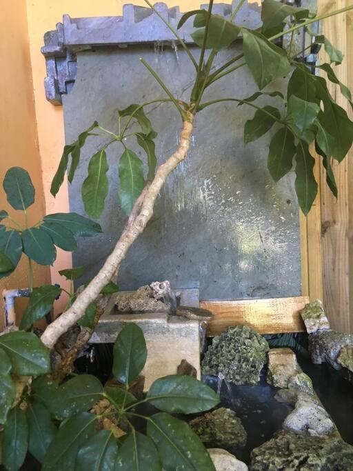 Miami Bungalow Oasis Near Everglades & The Keys خليج بوديجا المظهر الخارجي الصورة